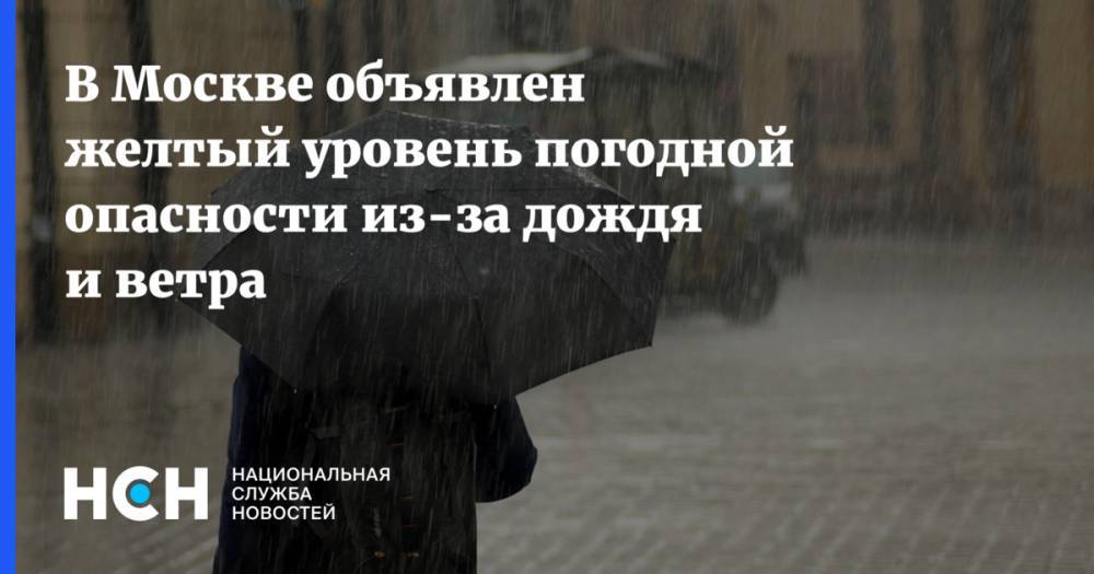 В Москве объявлен желтый уровень погодной опасности из-за дождя и ветра