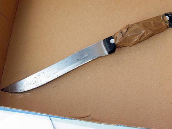 В Ульяновске школьник пытался зарезать учительницу кухонным ножом