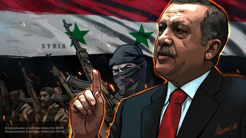 Сатановский: Эрдогану на руку политика распространения влияния на Сирию и Ливию