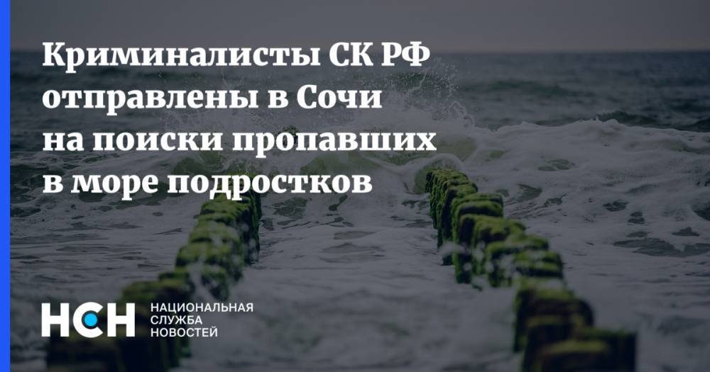 Криминалисты СК РФ отправлены в Сочи на поиски пропавших в море подростков