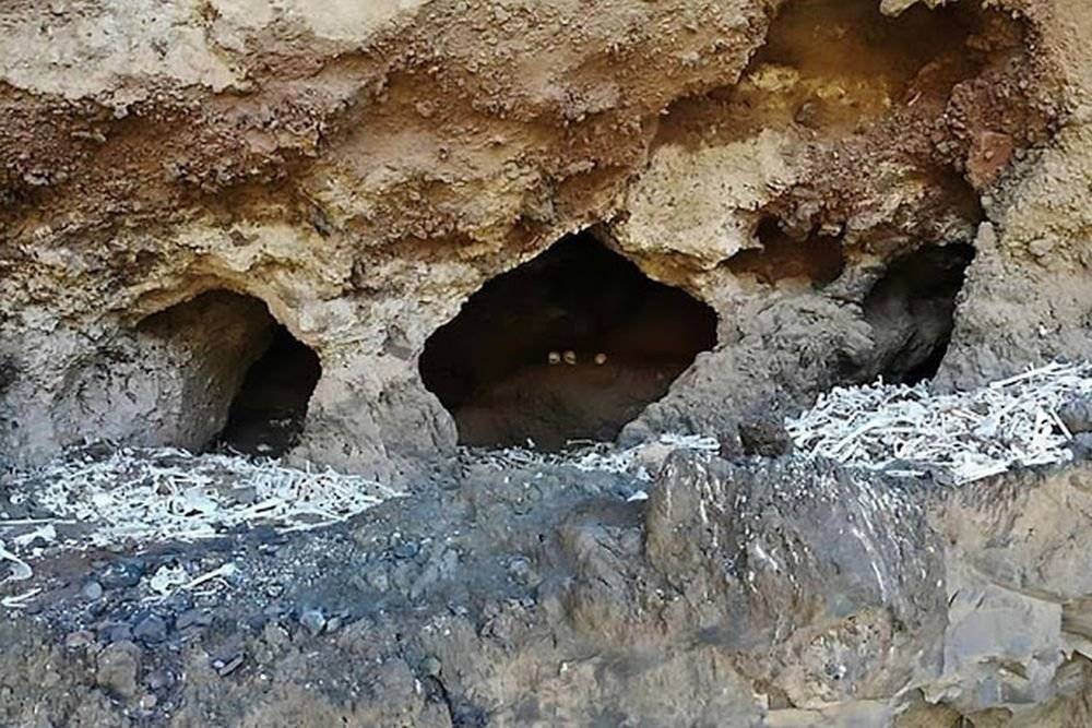 В труднодоступной пещере на Канарах обнаружены останки 72 человек