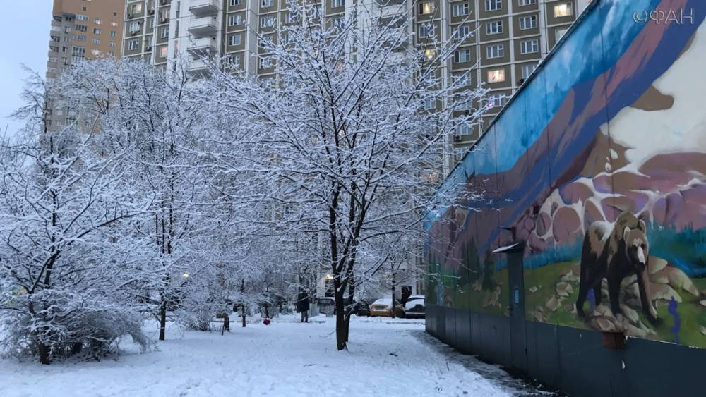 Синоптики предупредили москвичей о дожде с мокрым снегом