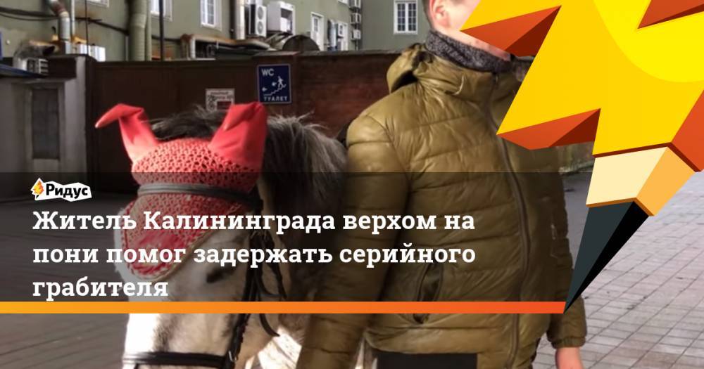 Житель Калининграда верхом на пони помог задержать серийного грабителя