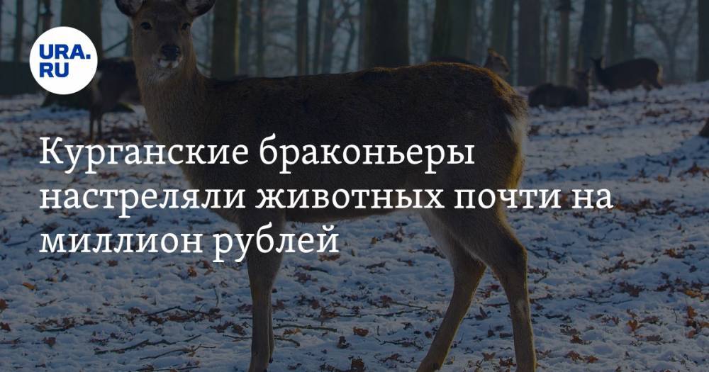 Курганские браконьеры настреляли животных почти на миллион рублей. ФОТО, ВИДЕО
