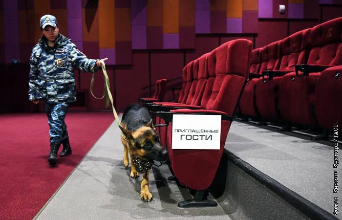 Россия вышла на первое место в Европе по посещаемости кинотеатров