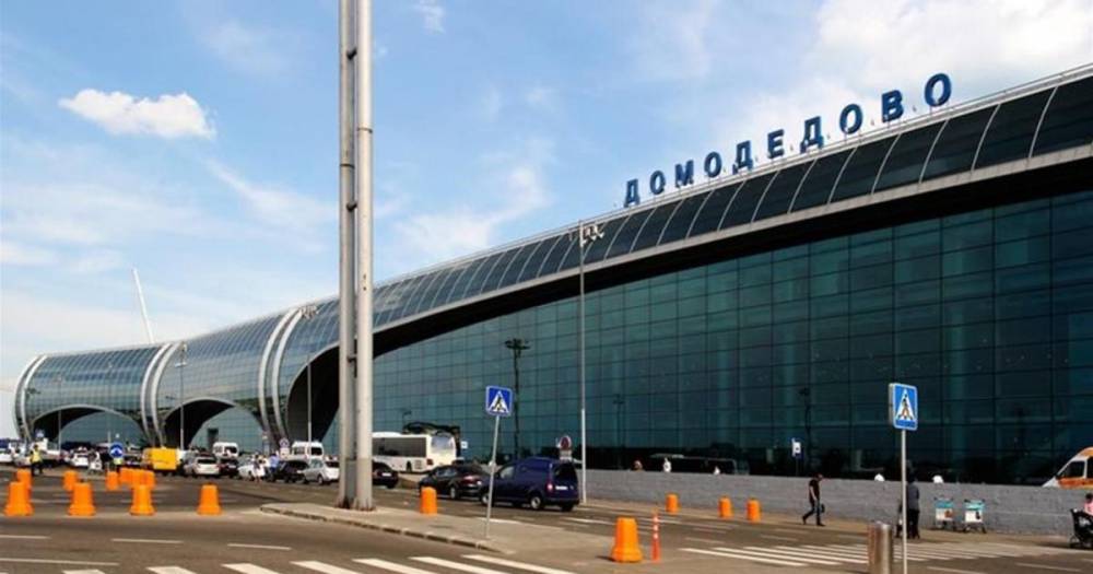 Правоохранители накрыли новую авиамафию в аэропорту Домодедово