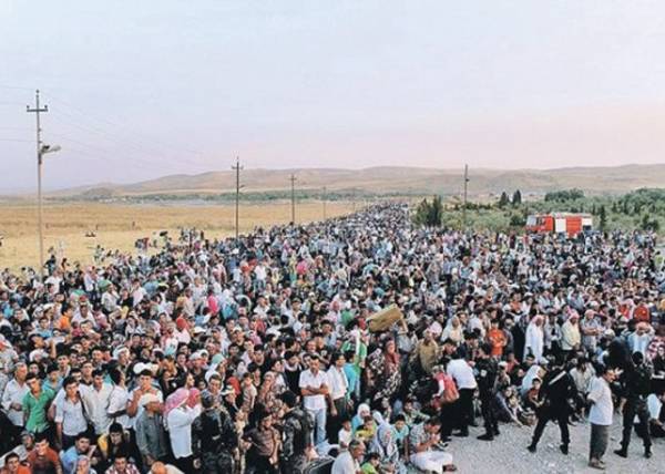 Сотни мигрантов направляются с северо-запада Турции к границе с Грецией