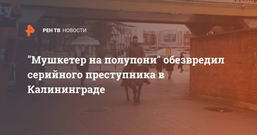 "Мушкетер на полупони" обезвредил серийного преступника в Калининграде