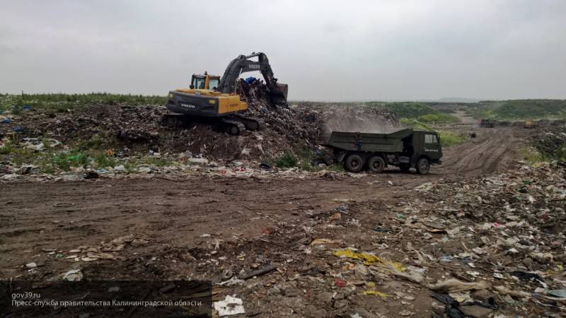 Нарушение вывоза мусора и стихийные свалки назвали ключевыми проблемами в обращении с ТКО