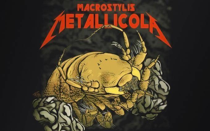 Биологи назвали новый вид ракообразных в честь рок-группы Metallica