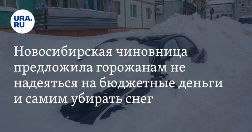 Новосибирская чиновница предложила горожанам не надеяться на бюджетные деньги и самим убирать снег