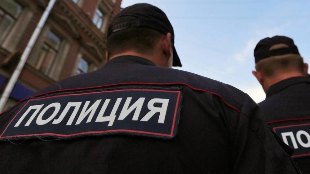 Полиция начала проверку после конфликта футбольных фанатов в Москве