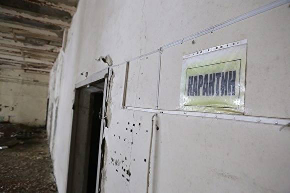 Вслед за Тюменью карантин в школах по гриппу и ОРВИ ввели Тобольск и Тюменский район