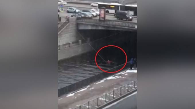 Петербуржцы сняли на видео падение канатоходца на Обводном канале