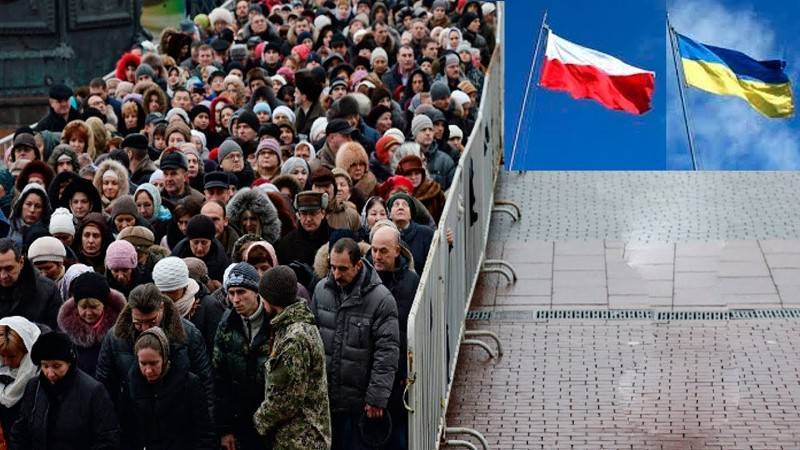 Отпрыски западенцев массово учат польский, чтобы свалить из Украины