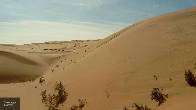 Физики Кембриджского университета узнали, что песчаные дюны "общаются" между собой