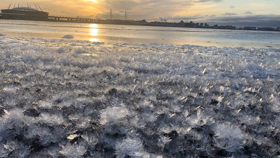 В Петербурге на берегу Финского залива заметили "ледяные цветы"