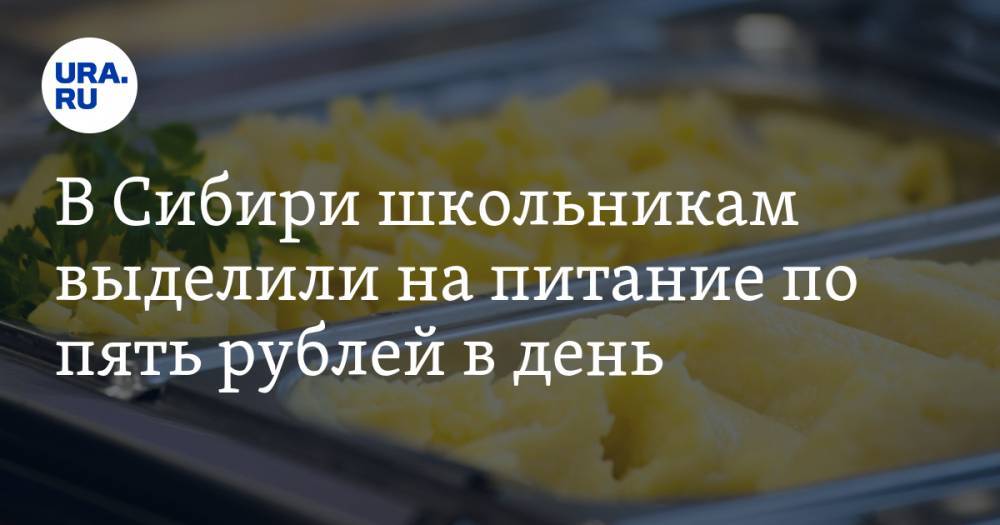 В Сибири школьникам выделили на питание по пять рублей в день