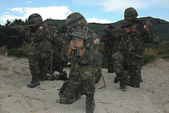 СМИ сообщили об обстреле турецкой армией позиций российских военных