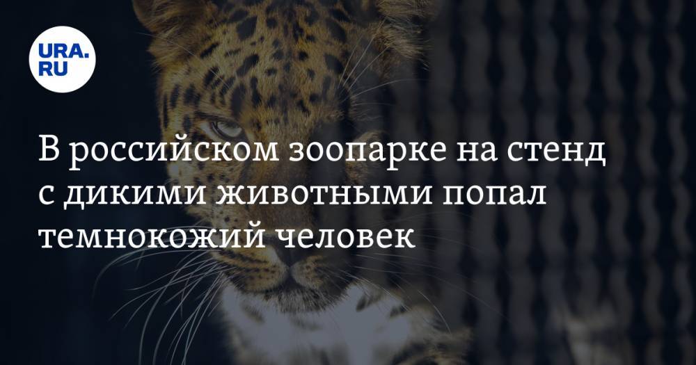 В российском зоопарке на стенд с дикими животными попал темнокожий человек. ВИДЕО