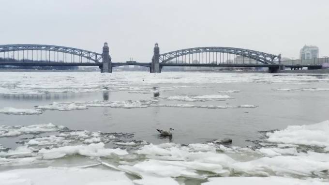 Петербуржец снял с дрона удивительный красоты ледоход на Неве