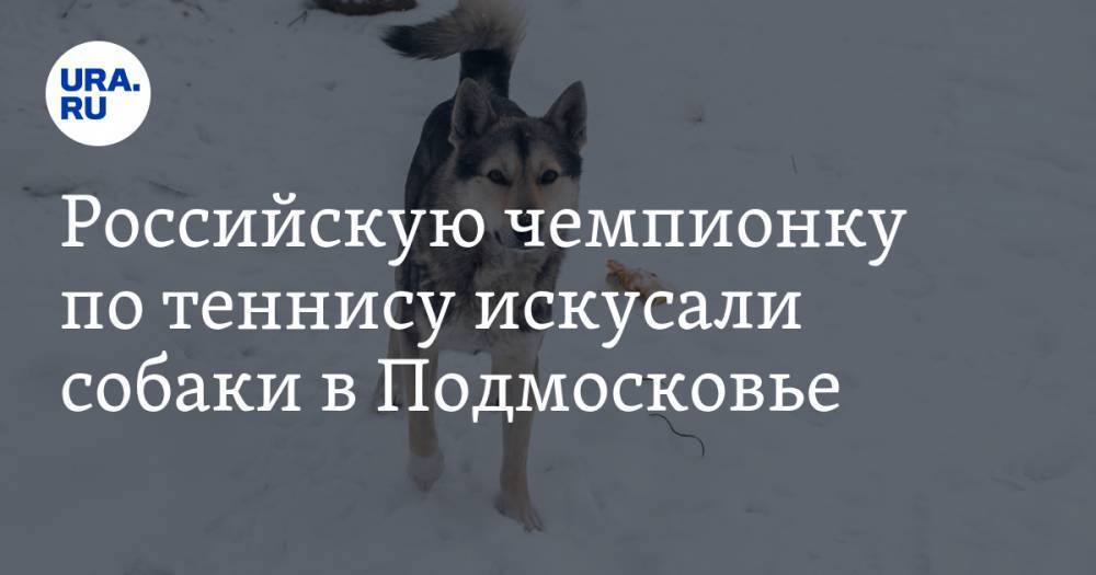 Российскую чемпионку по теннису искусали собаки в Подмосковье