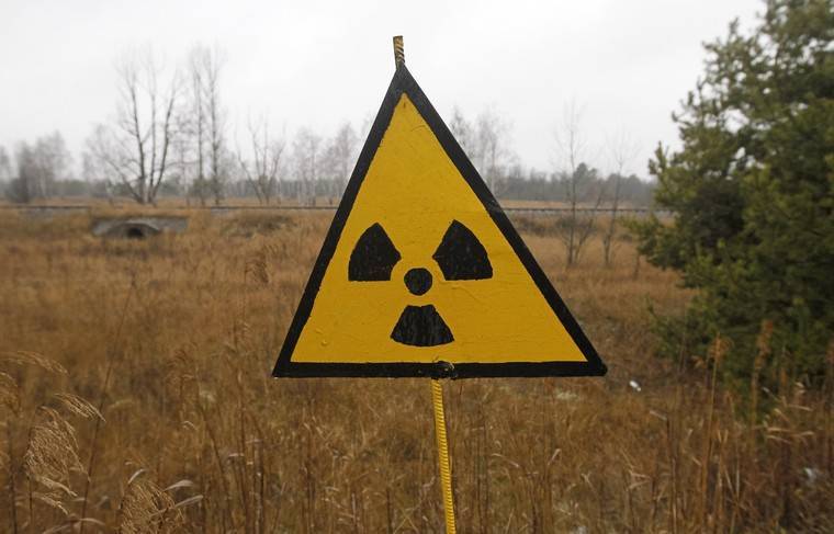Грибок из Чернобыля защитит людей от радиации