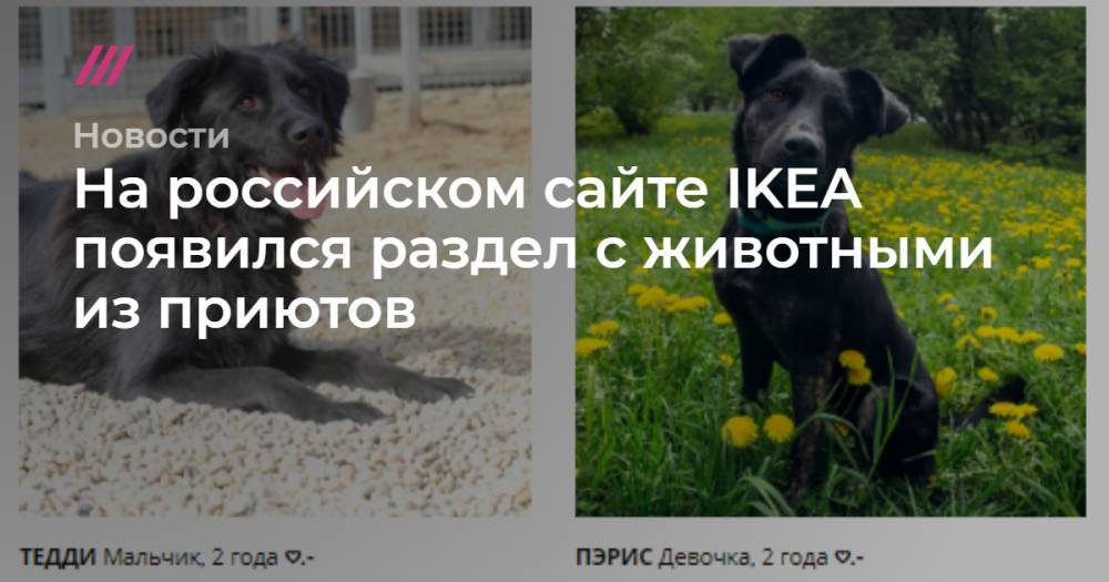 На российском сайте IKEA появился раздел с животными из приютов