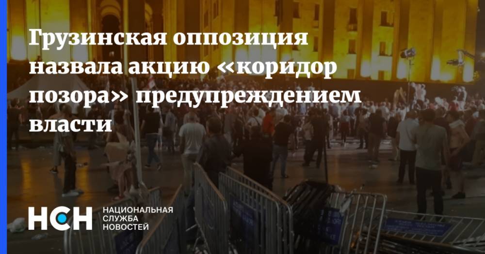 Грузинская оппозиция назвала акцию «коридор позора» предупреждением власти