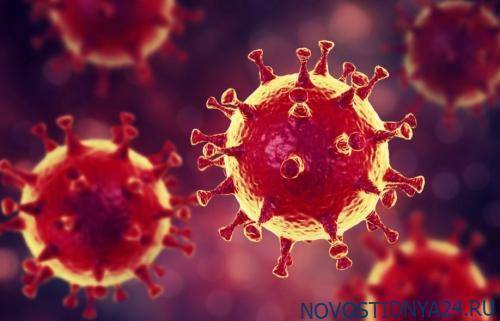 Рошаль похвалил правительство за грамотную профилактику коронавируса