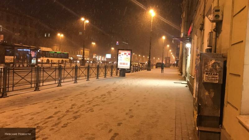 Коммунальщики Петербурга тщательно подготовились к ночному снегопаду в городе