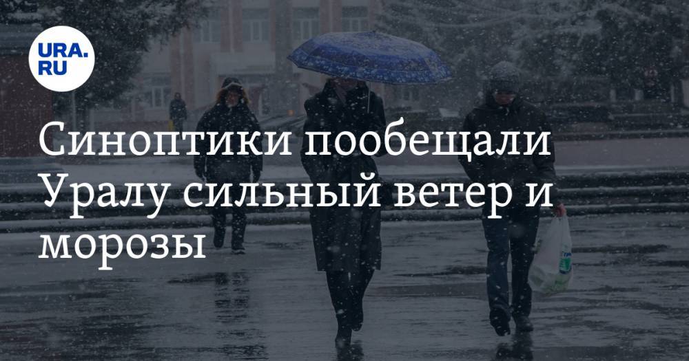 Синоптики пообещали Уралу сильный ветер и морозы