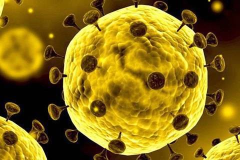 Вспышка коронавируса из Уханя скоро может быть объявлена пандемией - Cursorinfo: главные новости Израиля