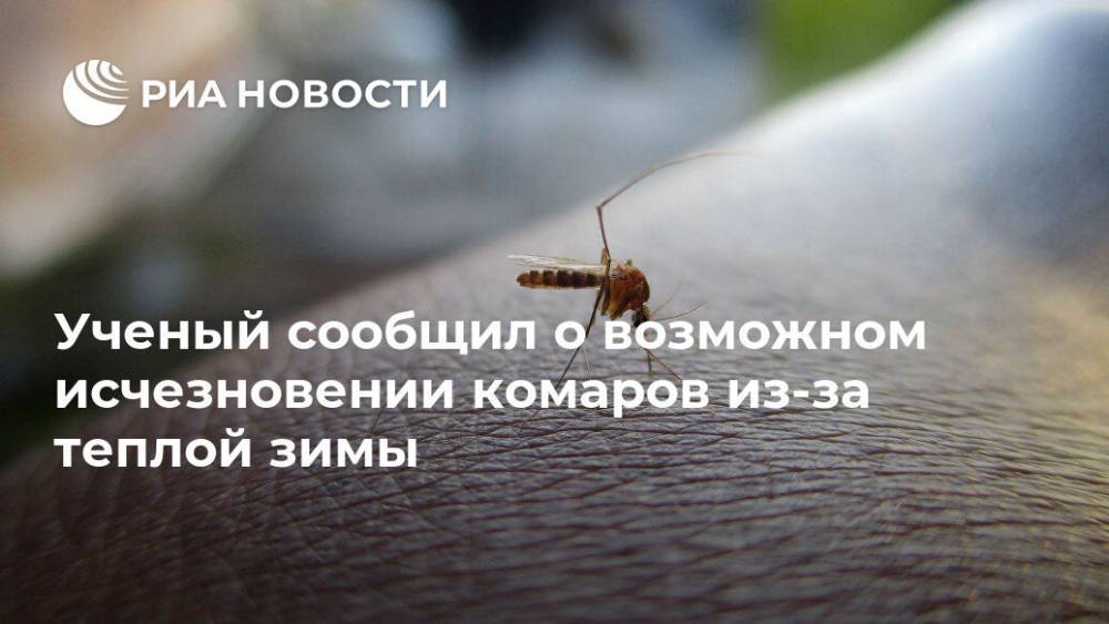 Ученый сообщил о возможном исчезновении комаров из-за теплой зимы - ria.ru - Москва - Россия