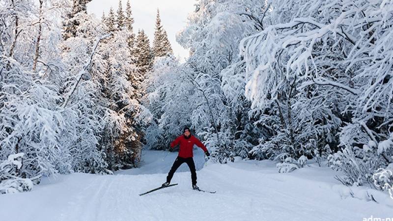 Москвичам пообещали хорошую погоду для лыжных прогулок в выходные