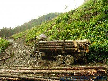 Экологическая катастрофа на Украине началась. Вырубка лесов, тонны мусора завалили города