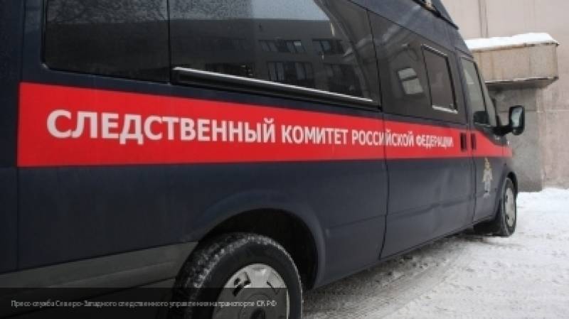 Обвиняемого в убийстве своего 13-летнего сына жителя Подмосковья проверят на вменяемость