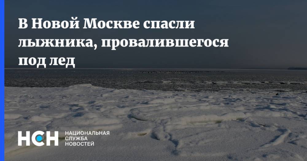 В Новой Москве спасли лыжника, провалившегося под лед