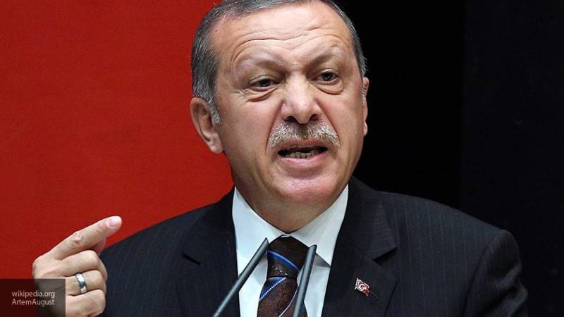 Политолог заявил, что Эрдогану выгодно скрывать наличие турецких войск в Ливии