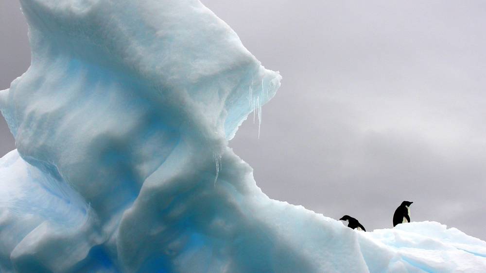 Рекордное потепление зафиксировали на территории Антарктиды