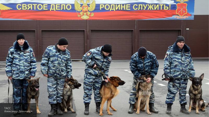 Ветеран УГРО рассказал, как собаки помогали ему в розыске преступников
