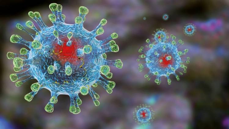 Число зараженных коронавирусом в Китае достигло 34 тысяч человек
