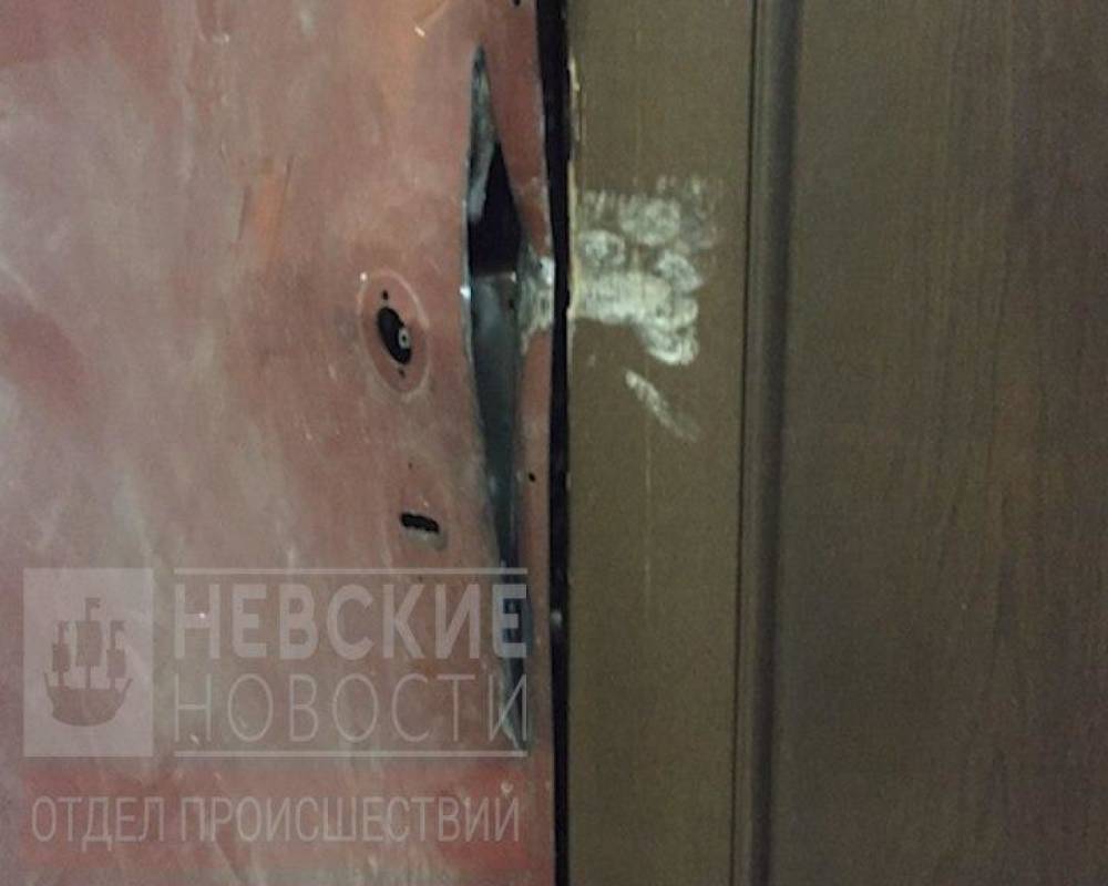 Появились кадры подпольного казино в квартире главы муниципального образования Петербурга