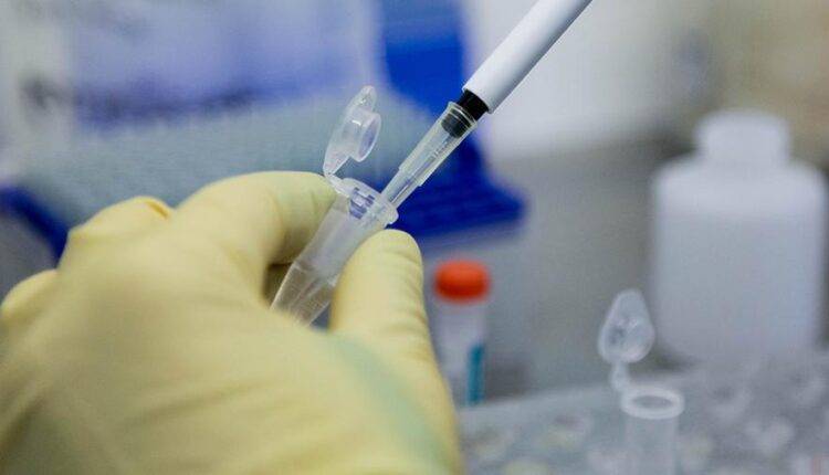 Американский профессор назвала сроки создания вакцины от коронавируса