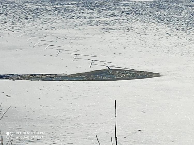 Три жителя Ленобласти утонули в финском заливе, провалившись под лед