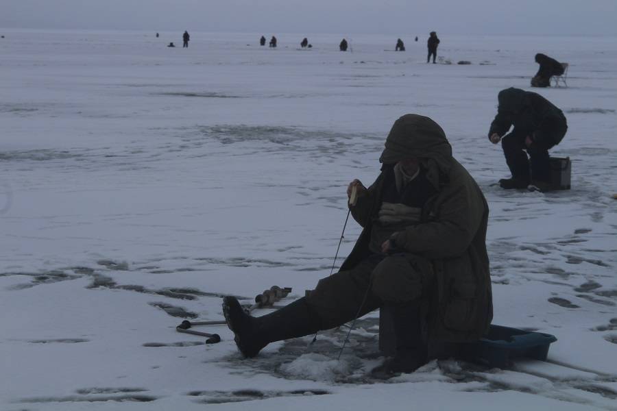 Петербургские рыбаки рассказали, как сделать рыбалку на льду Финского залива безопасной