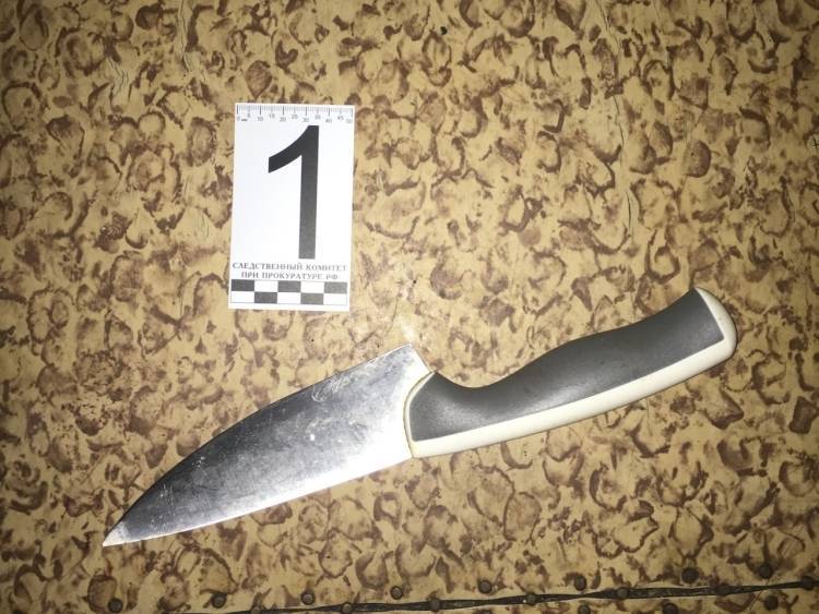 Пенсионерка пыталась зарезать собственного сына ножом в Прикамье