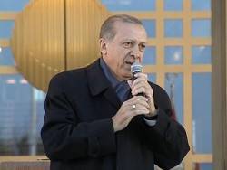 Капкан для Эрдогана: турецкая партия оценила войну с Сирией