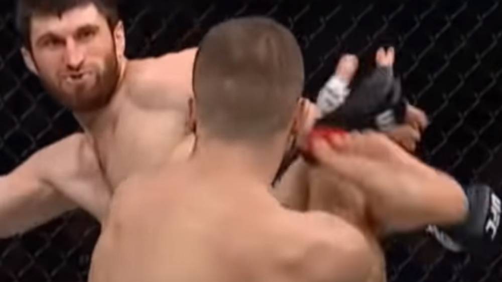 Анкалаев отправил в нокаут Куцелабу на первой минуте боя в рамках UFC Fight Night