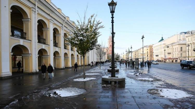 Прошедшая зима стала самой теплой в истории Петербурга